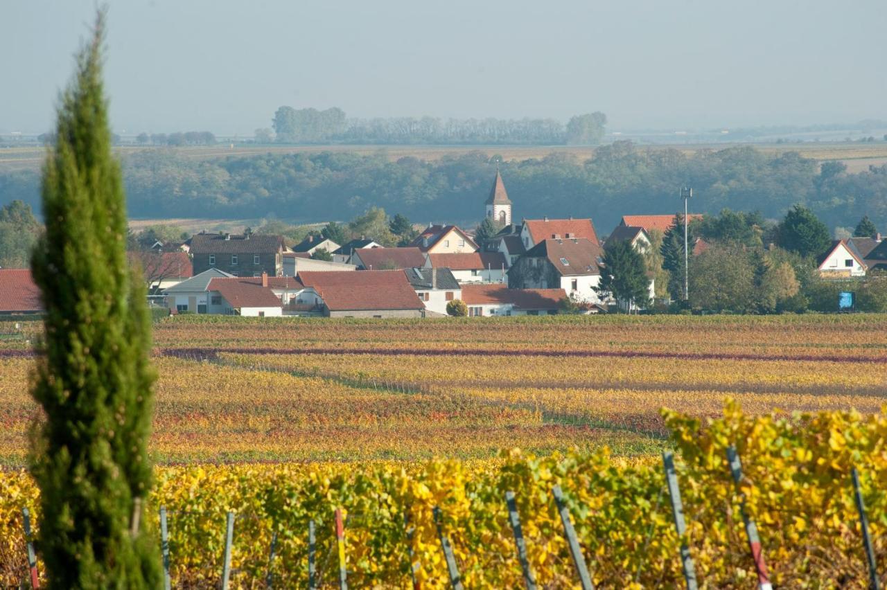 Gaestehaus & Weingut Peth Florsheim-Dalsheim ภายนอก รูปภาพ